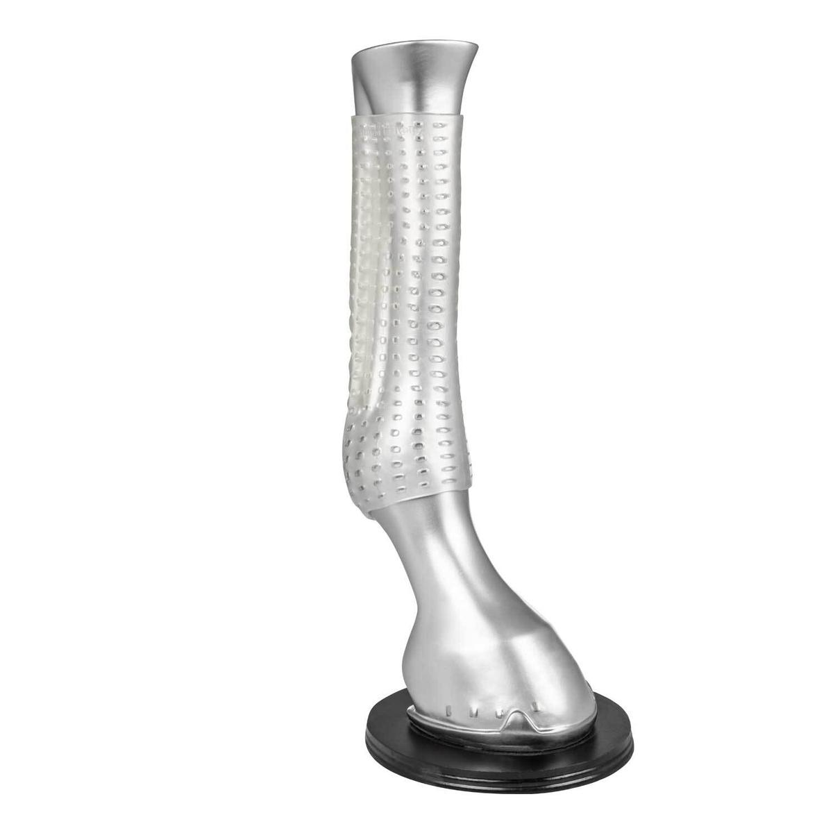 product/a/c/acavallo_ac779-_transparent_1.jpg