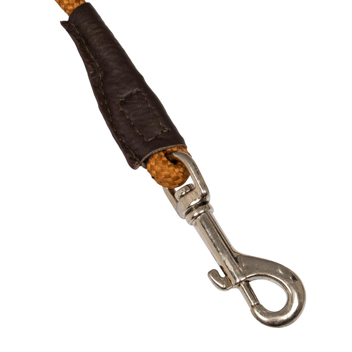 product/a/c/acavallo_ac9721-darkbrown_darkbrown_5.jpg