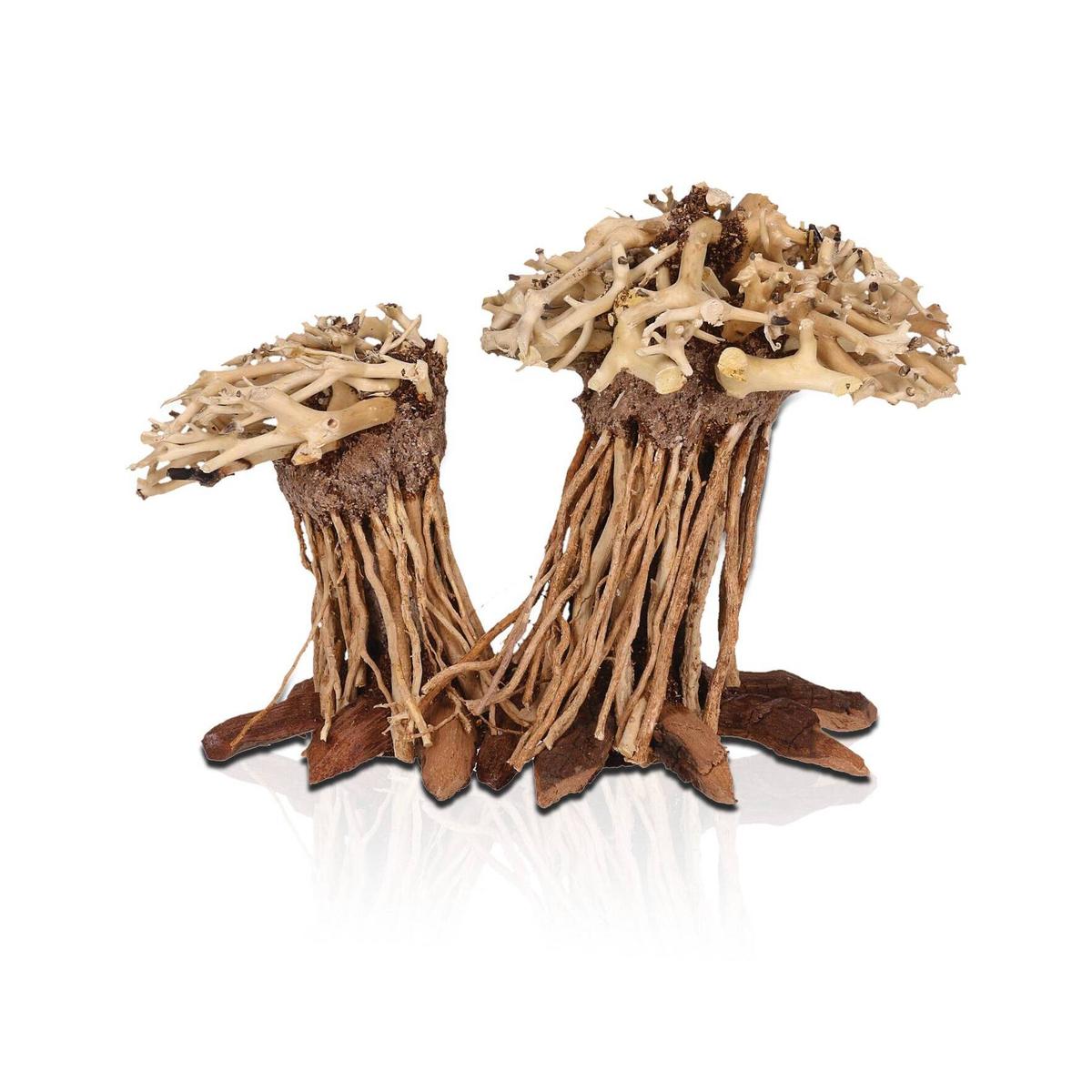 product/a/q/aquavie_av111549_marron_1.jpg