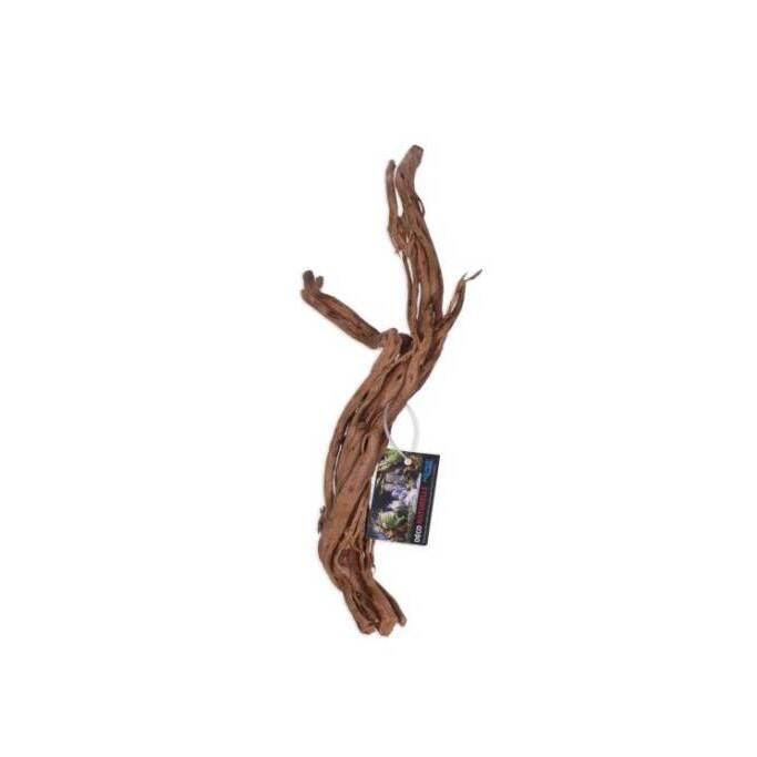 product/a/q/aquavie_av111563_marron_2.jpg