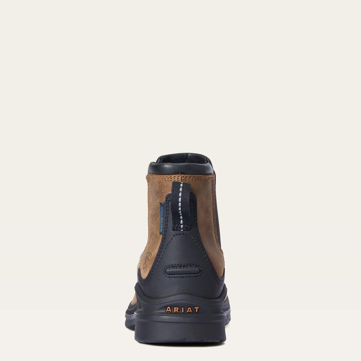product/a/r/ariat_10033879_3.jpg