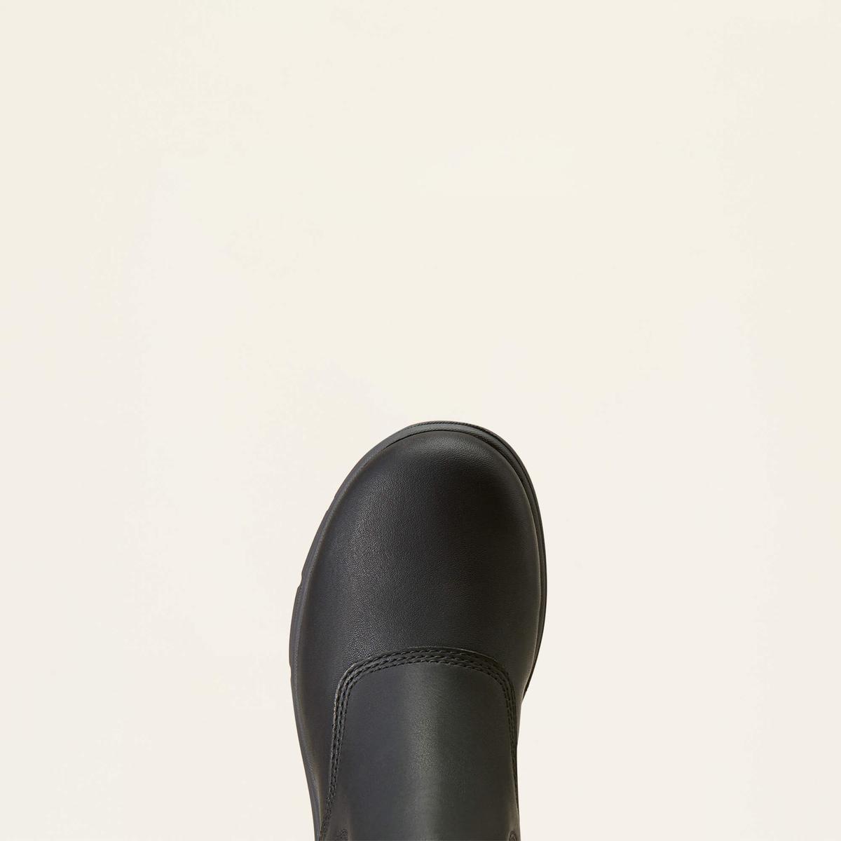 product/a/r/ariat_10046857_2.jpg