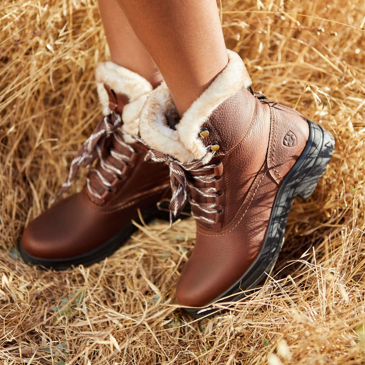 product/a/r/ariat_10053839_dark-brown_8.jpg