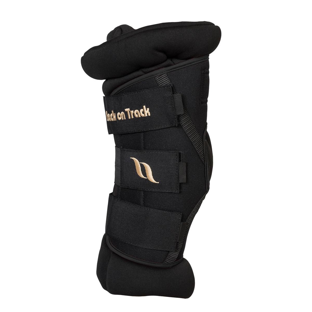 product/b/a/back-on-track_20229001_0.jpg