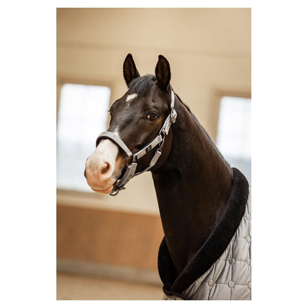 product/b/r/br-equitation_432331-b2478-40_chiseled-stone_2.jpg