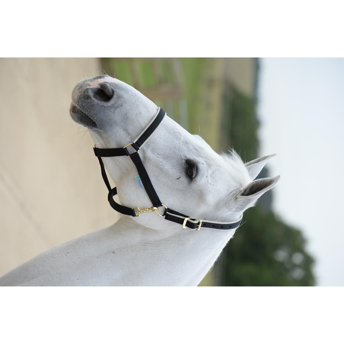 product/b/u/bucas_41230-64_black-silver_1.jpg