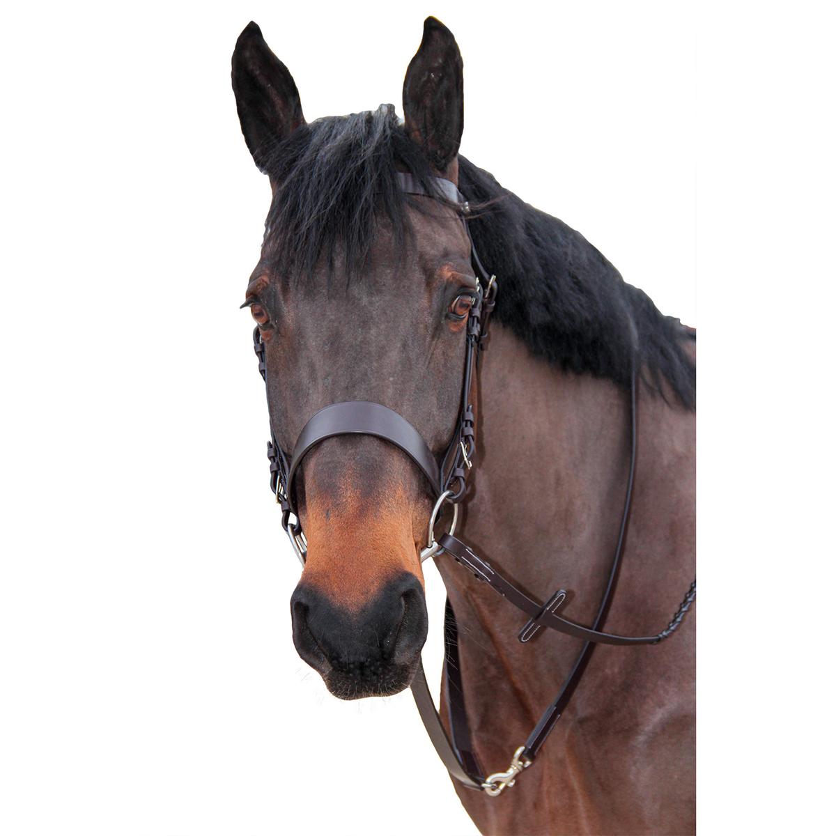 product/c/a/canter_111109-marron_marron_1.jpg