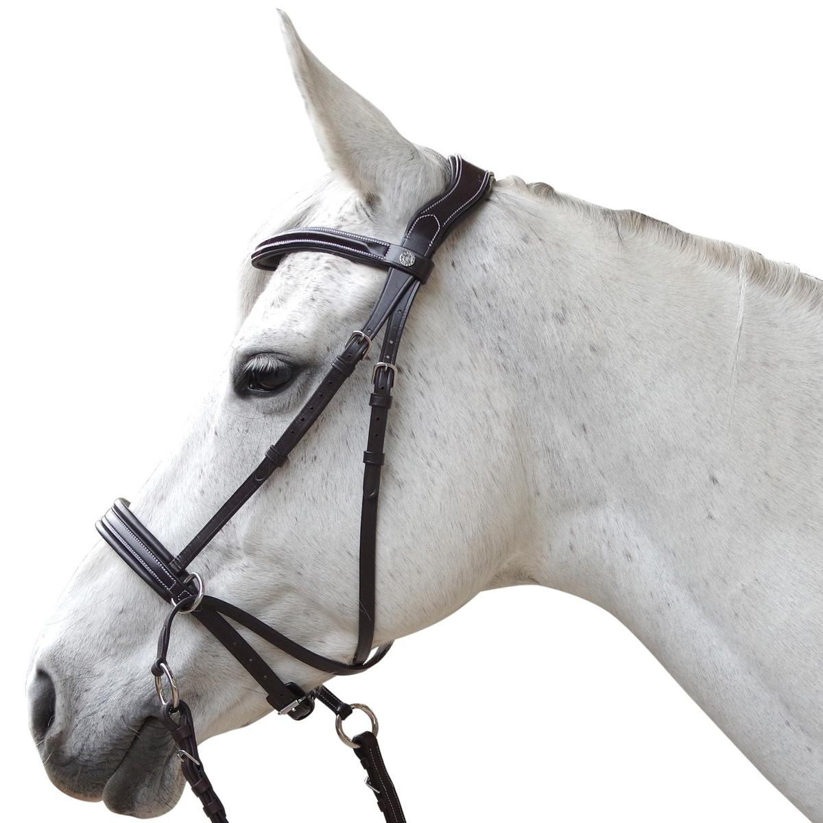 product/c/a/canter_111151-noir_noir_1.jpg