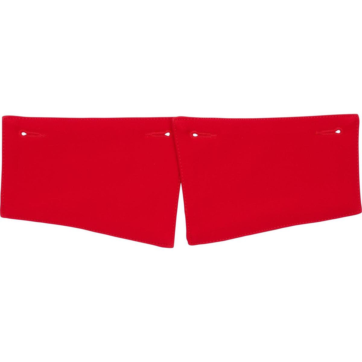 product/c/a/catago_33063458_barbados-cherry_1.jpg