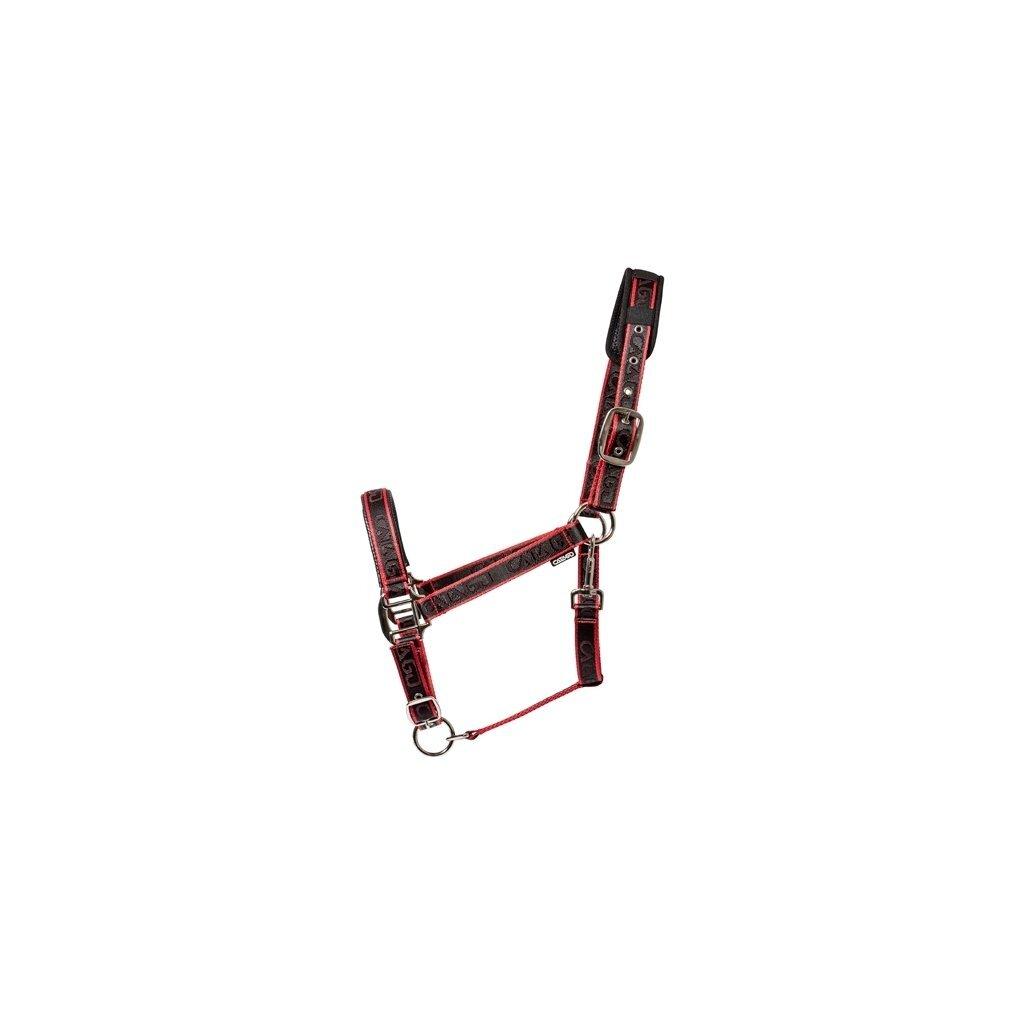 product/c/a/catago_41462041_black-red_1.jpg