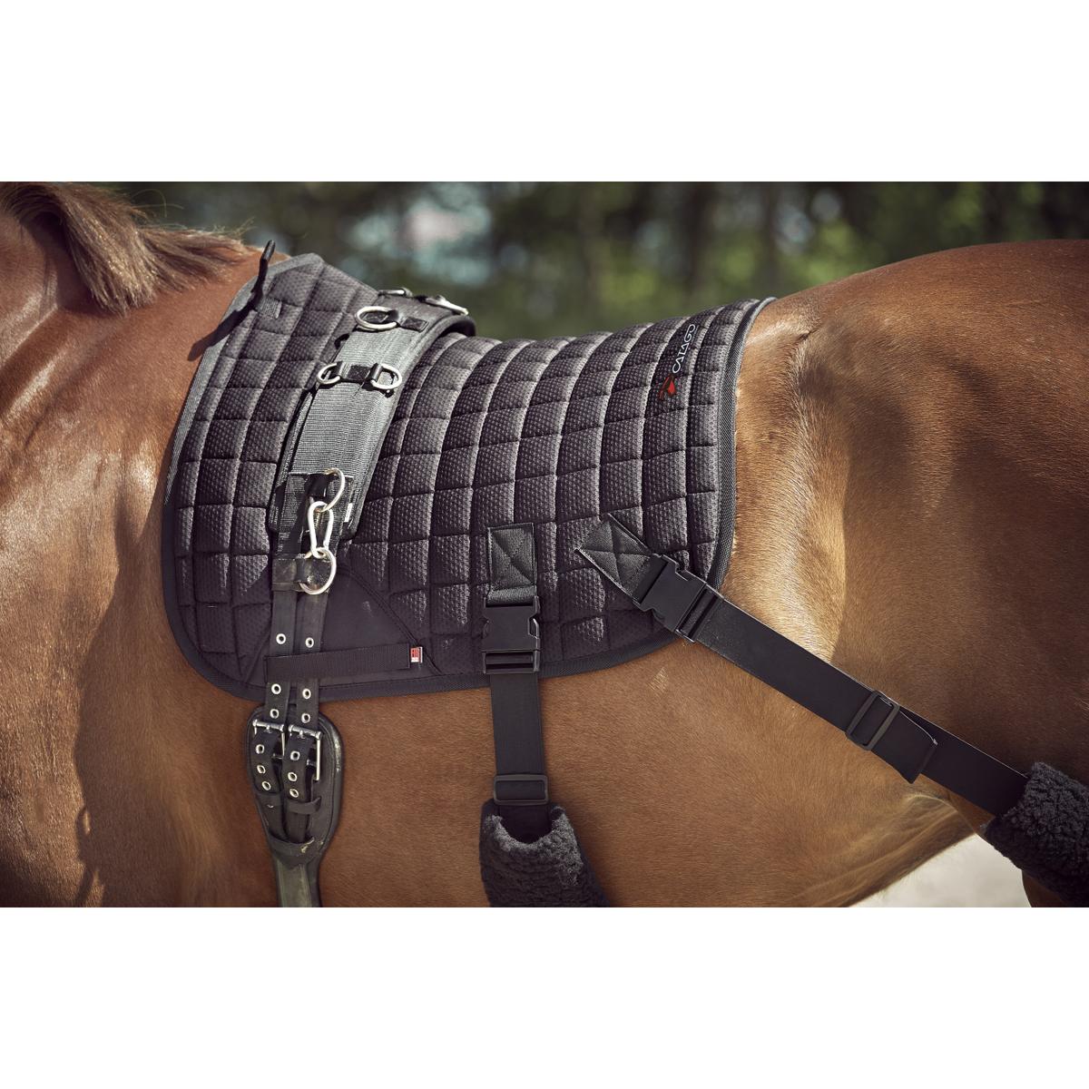 product/c/a/catago_50360601_2.jpg