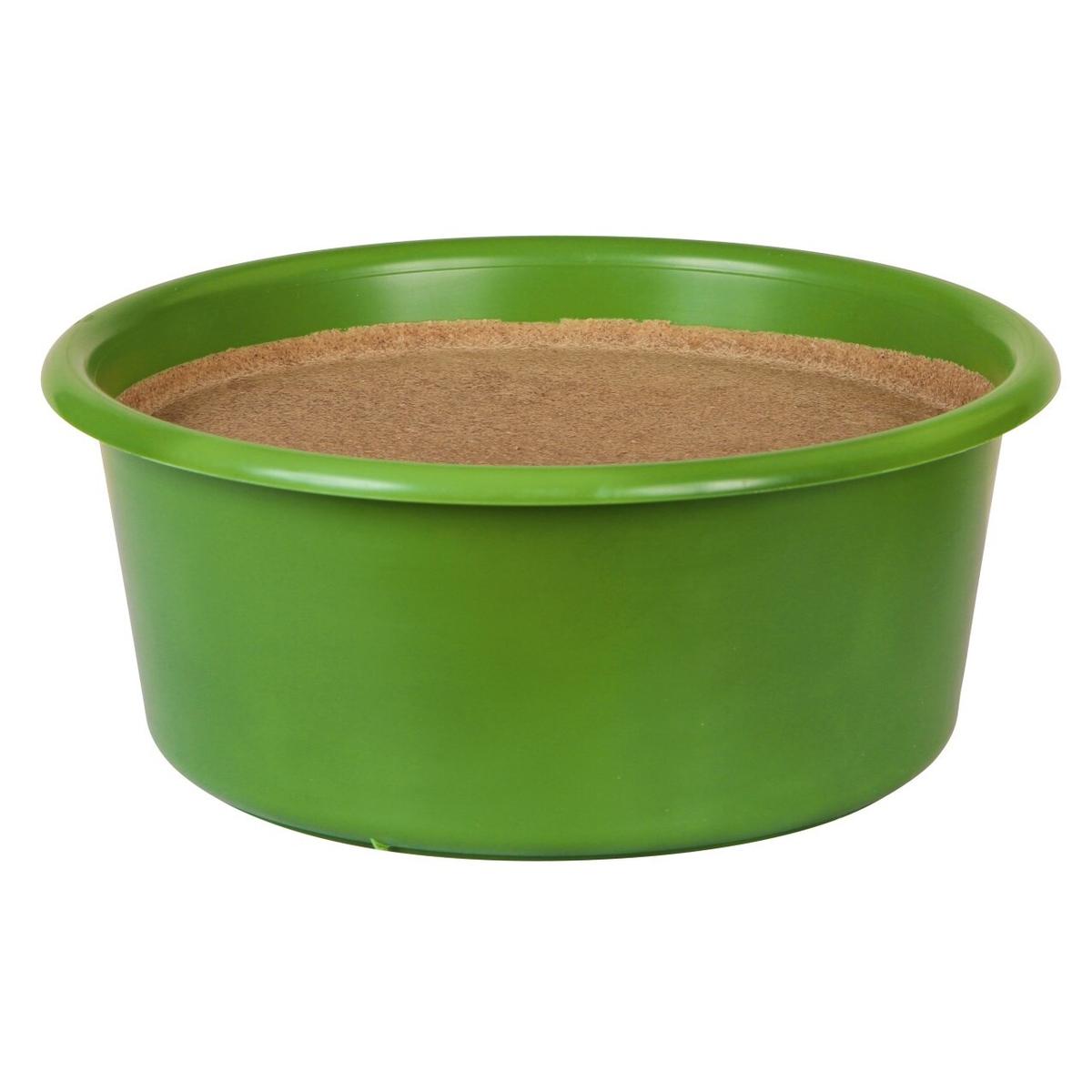 product/d/e/delizia_325125_3.jpg