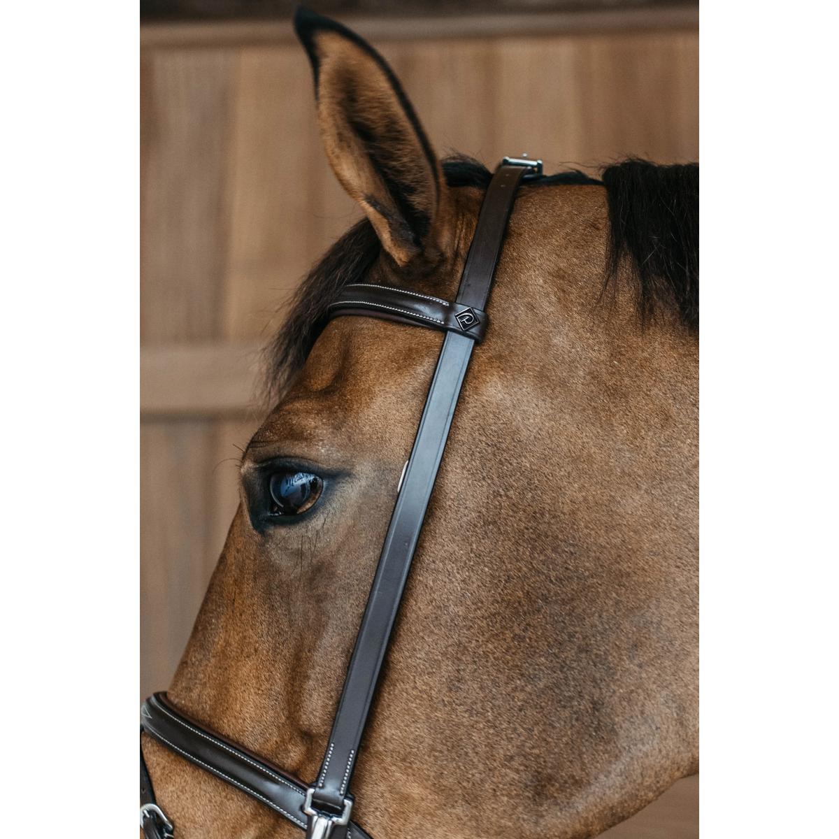 product/d/y/dy-on_woxxiibrc_2.jpg