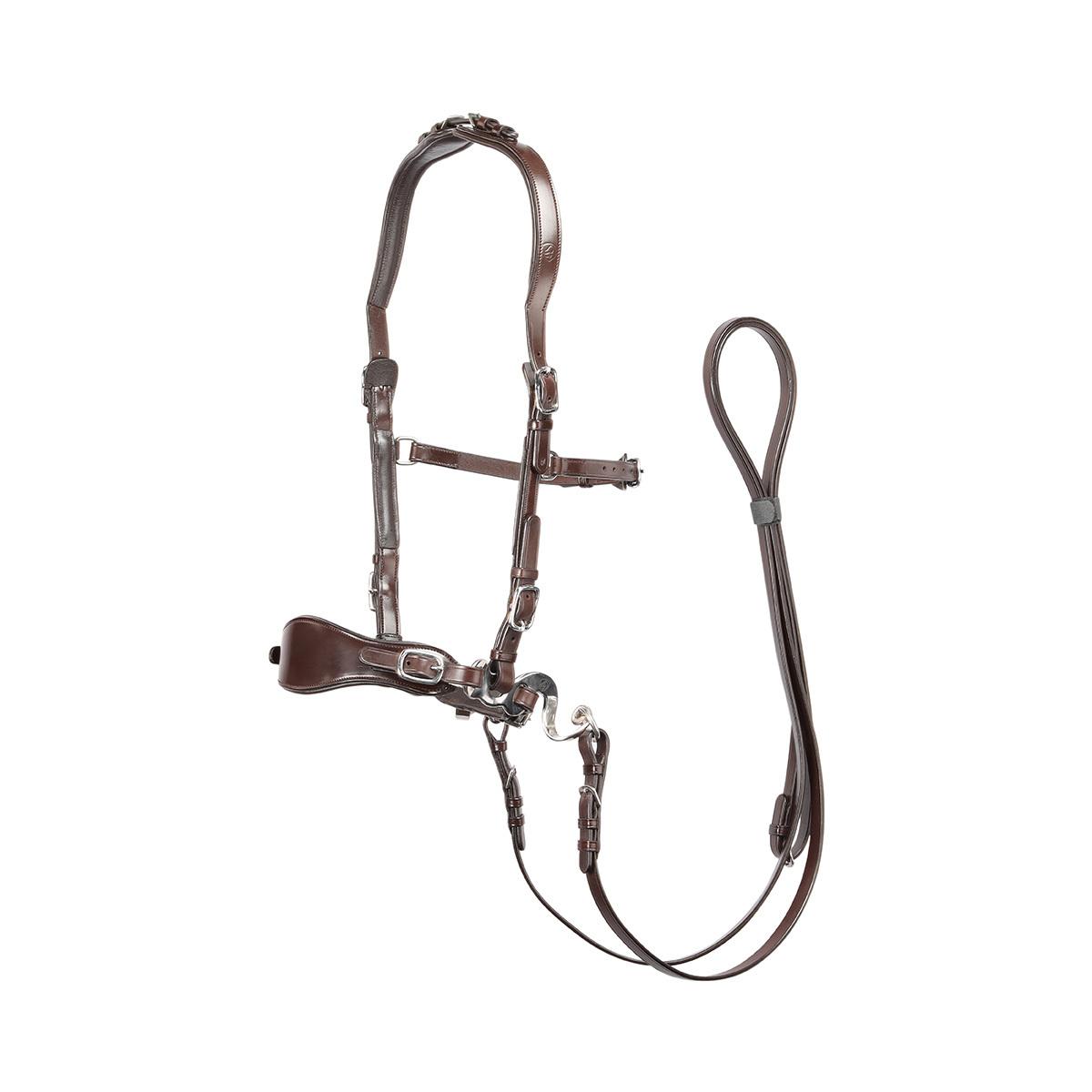 product/e/d/edix-saddles_8.9401.1405015.jpg