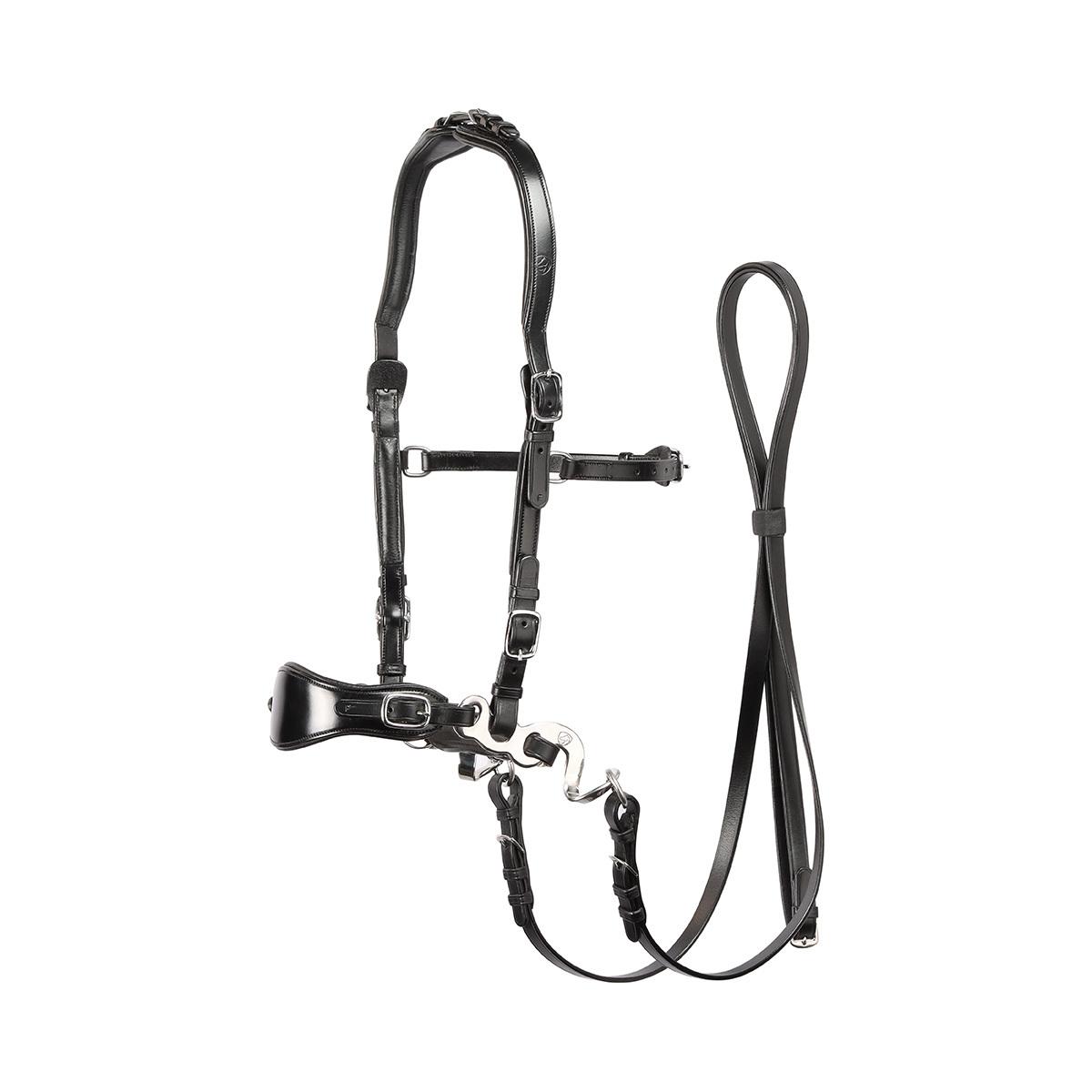 product/e/d/edix-saddles_8.9401.1470015.jpg