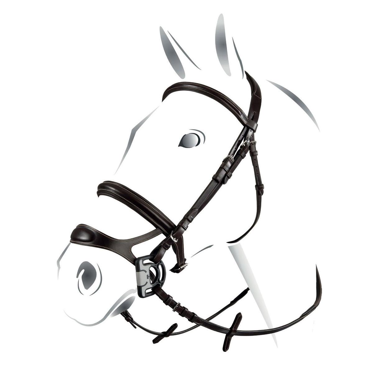 product/e/q/equestro_br00695-black_black_1.jpg