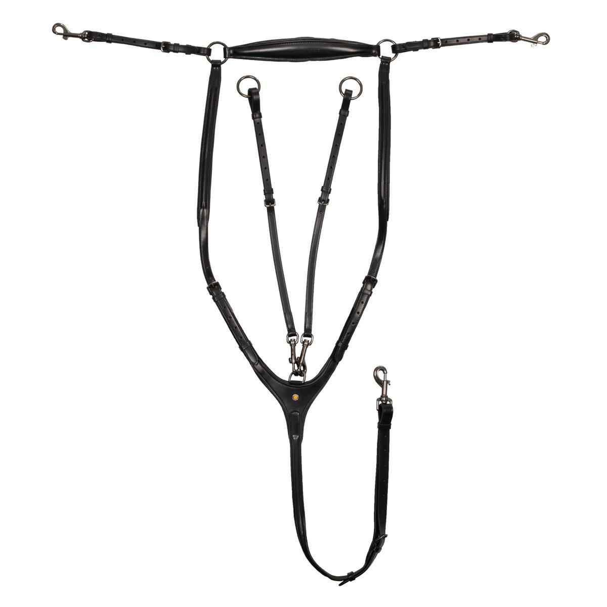 product/e/q/equestro_eth02000-black_noir_1.jpg