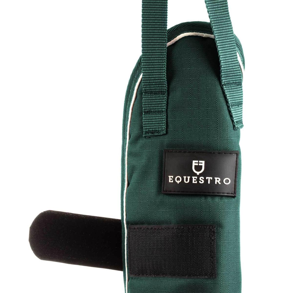 product/e/q/equestro_eth07038-green_green_2.jpg
