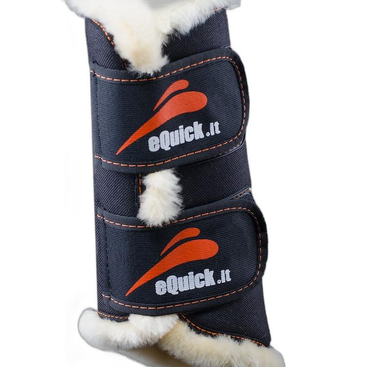 product/e/q/equick_etrainlnas.jpg