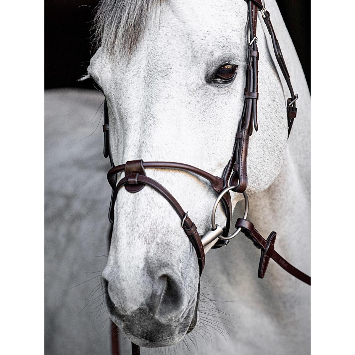 product/e/q/equiline_cp0001_mag4132213_2.jpg