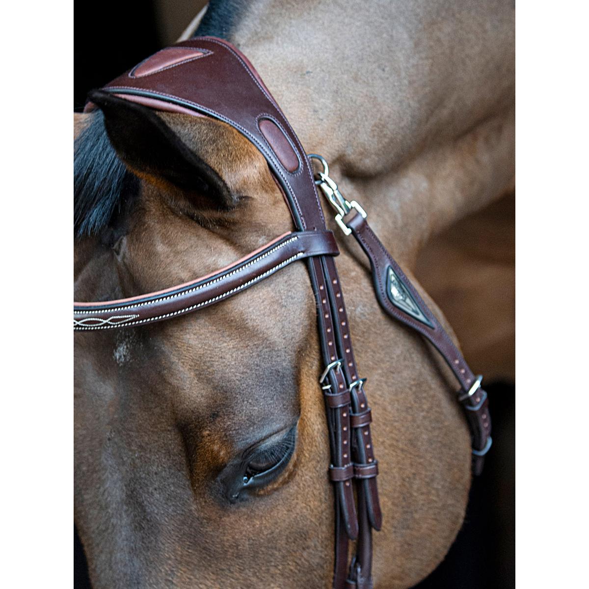 product/e/q/equiline_sc013php0411-012_brown_3.jpg