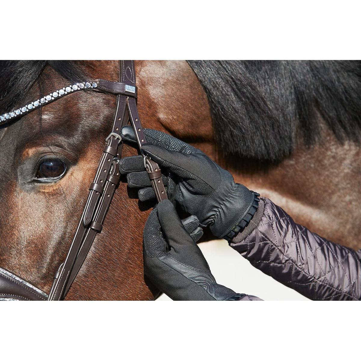 product/e/q/equipage_103651001_black_4.jpg