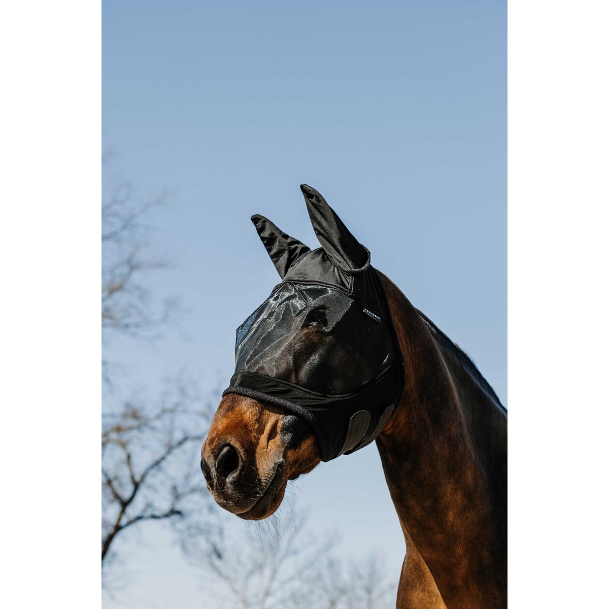 product/e/q/equitheme_306031101_argent_1.jpg