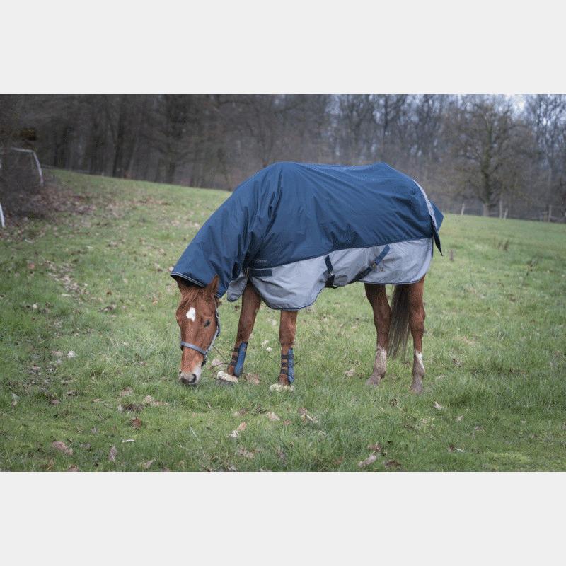 product/e/q/equitheme_4009187_mag4449051_2.jpg