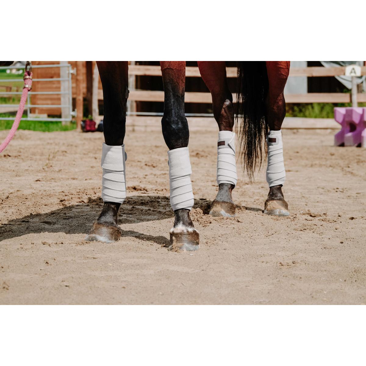 product/e/q/equitheme_540068001_blanc_2.jpg