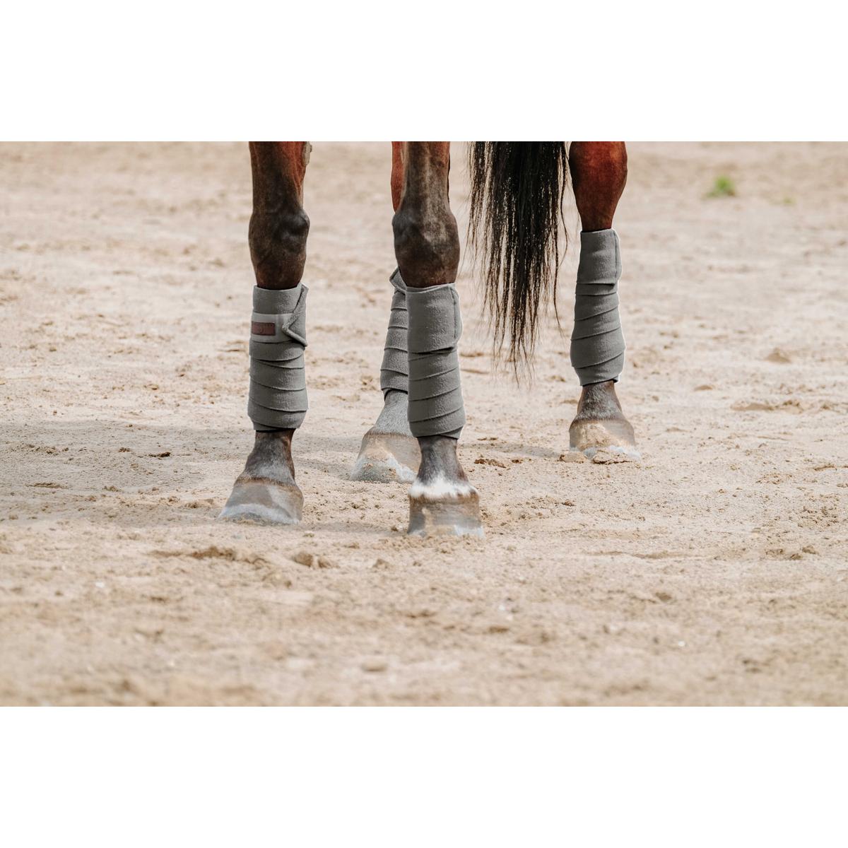 product/e/q/equitheme_540068011_gris_2.jpg