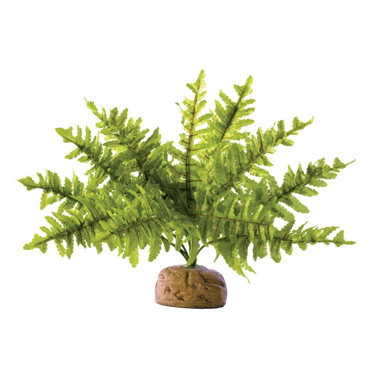 product/e/x/exo-terra_33-pt2990.jpg