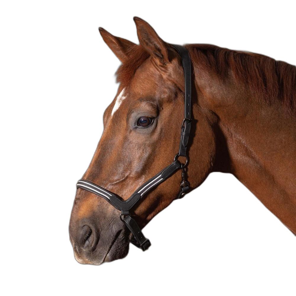 product/h/a/harry-s-horse_28500007-zwart_zwart_1.jpg