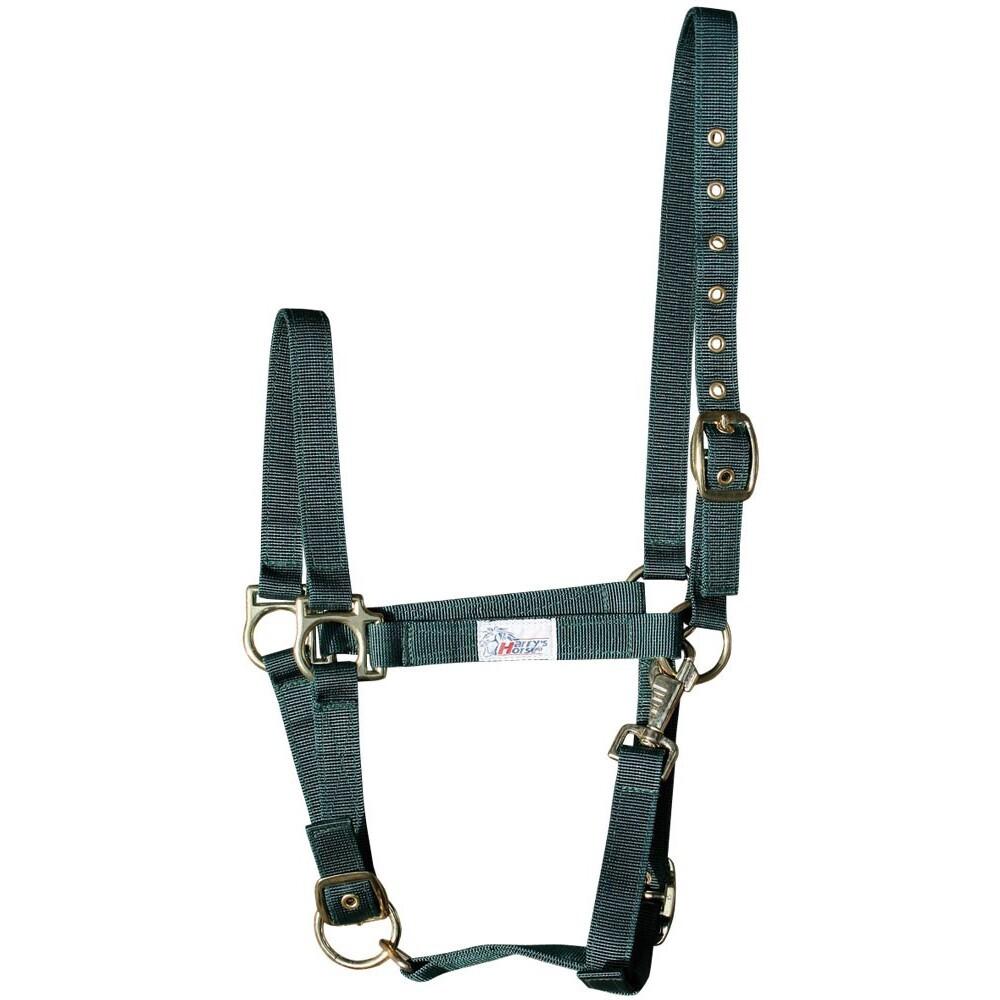 product/h/a/harry-s-horse_31000410-06.jpg