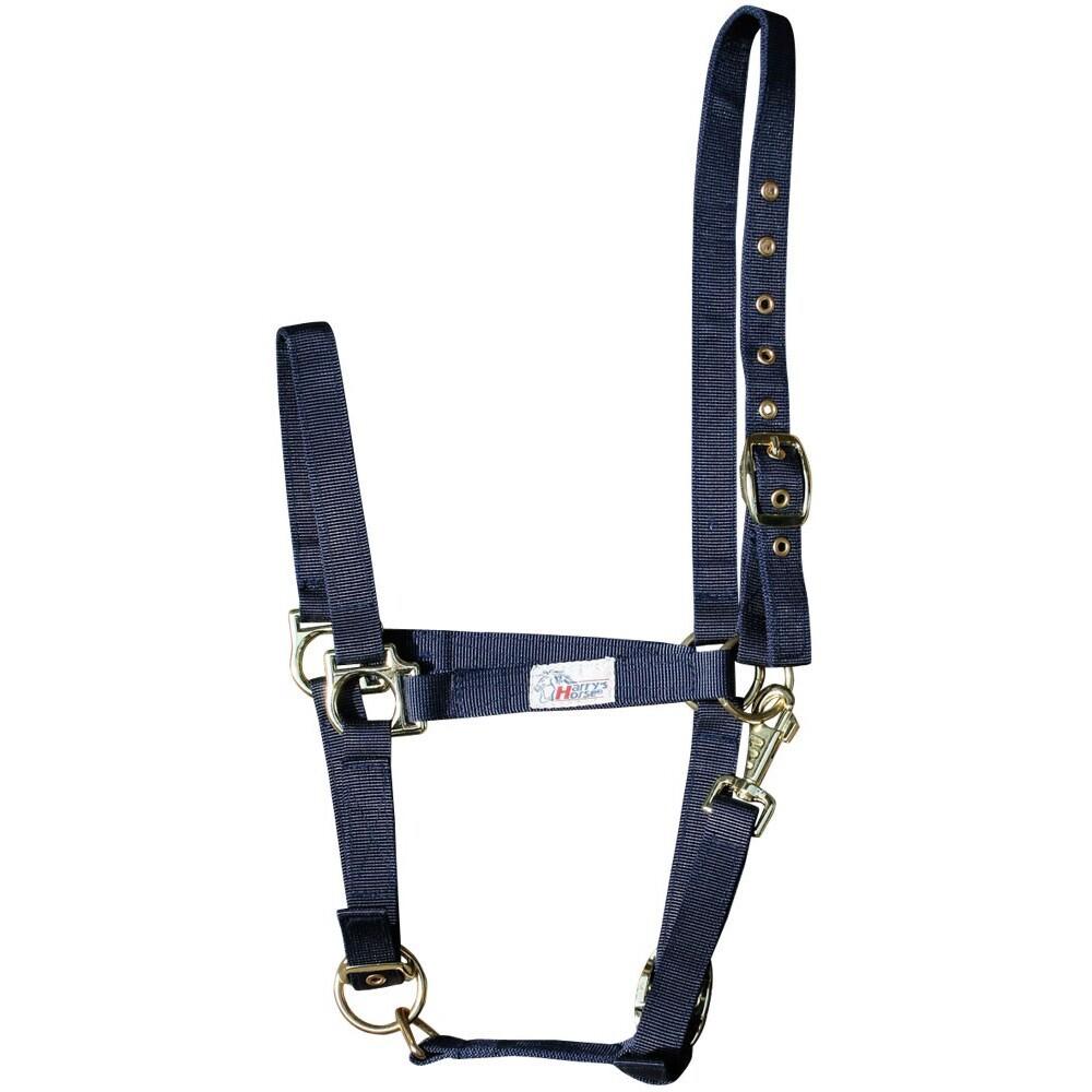 product/h/a/harry-s-horse_31000410-07.jpg