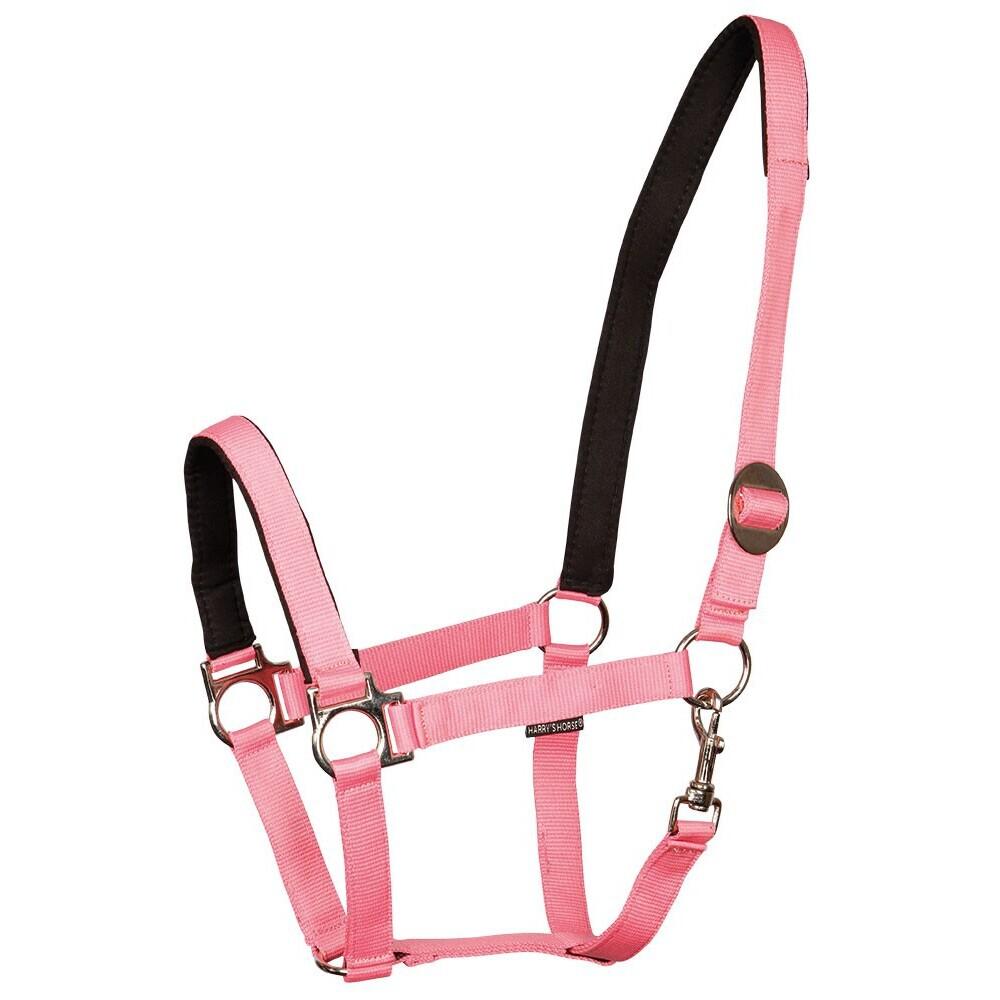 product/h/a/harry-s-horse_31000910-10.jpg