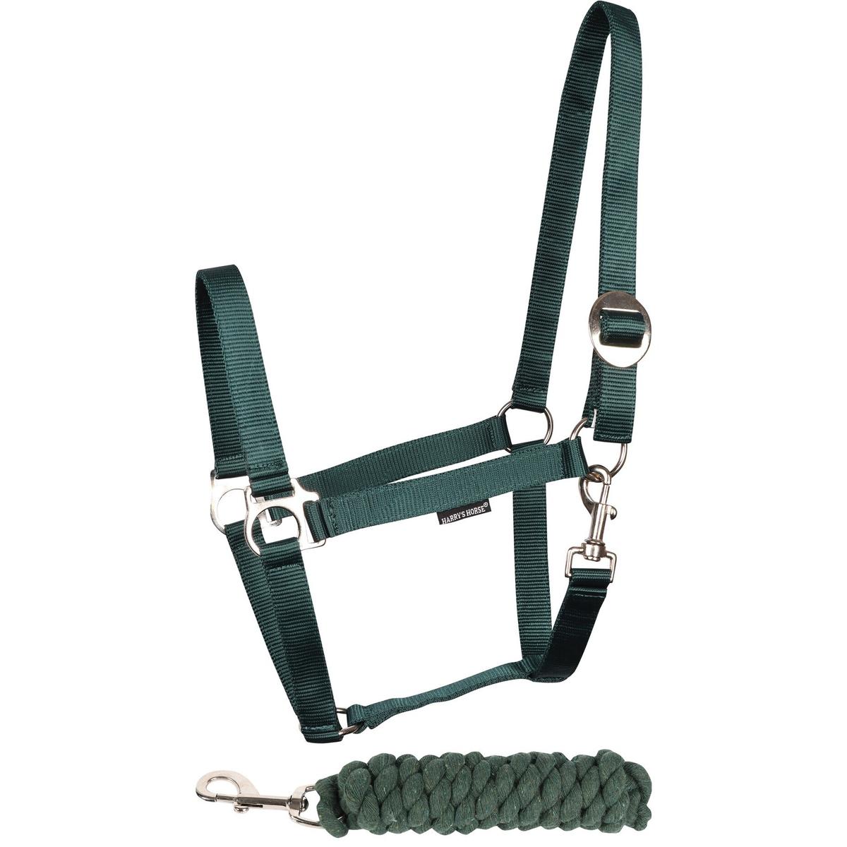 product/h/a/harry-s-horse_31000926-07.jpg