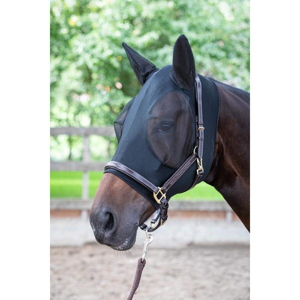 product/h/a/harry-s-horse_31300016.jpg