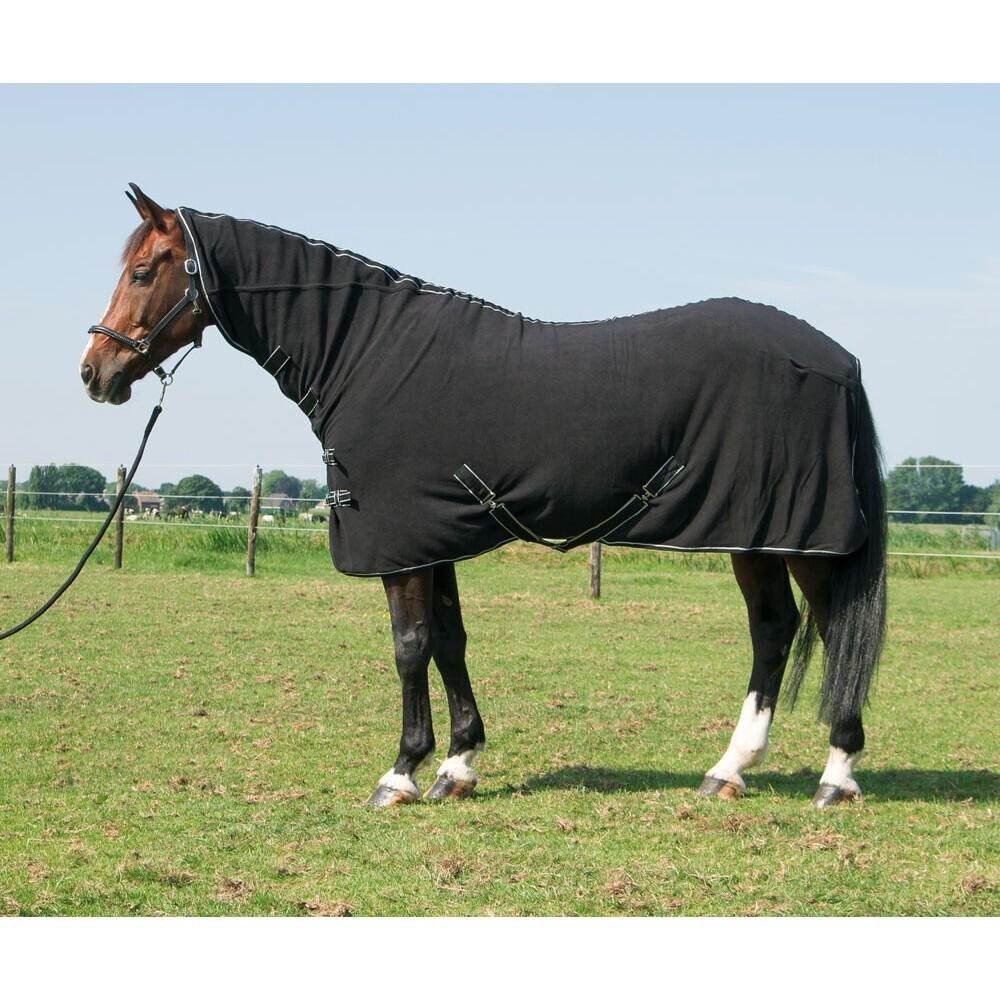 product/h/a/harry-s-horse_32200062-05.jpg
