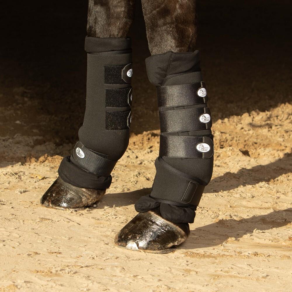 product/h/a/harry-s-horse_33401280_2.jpg