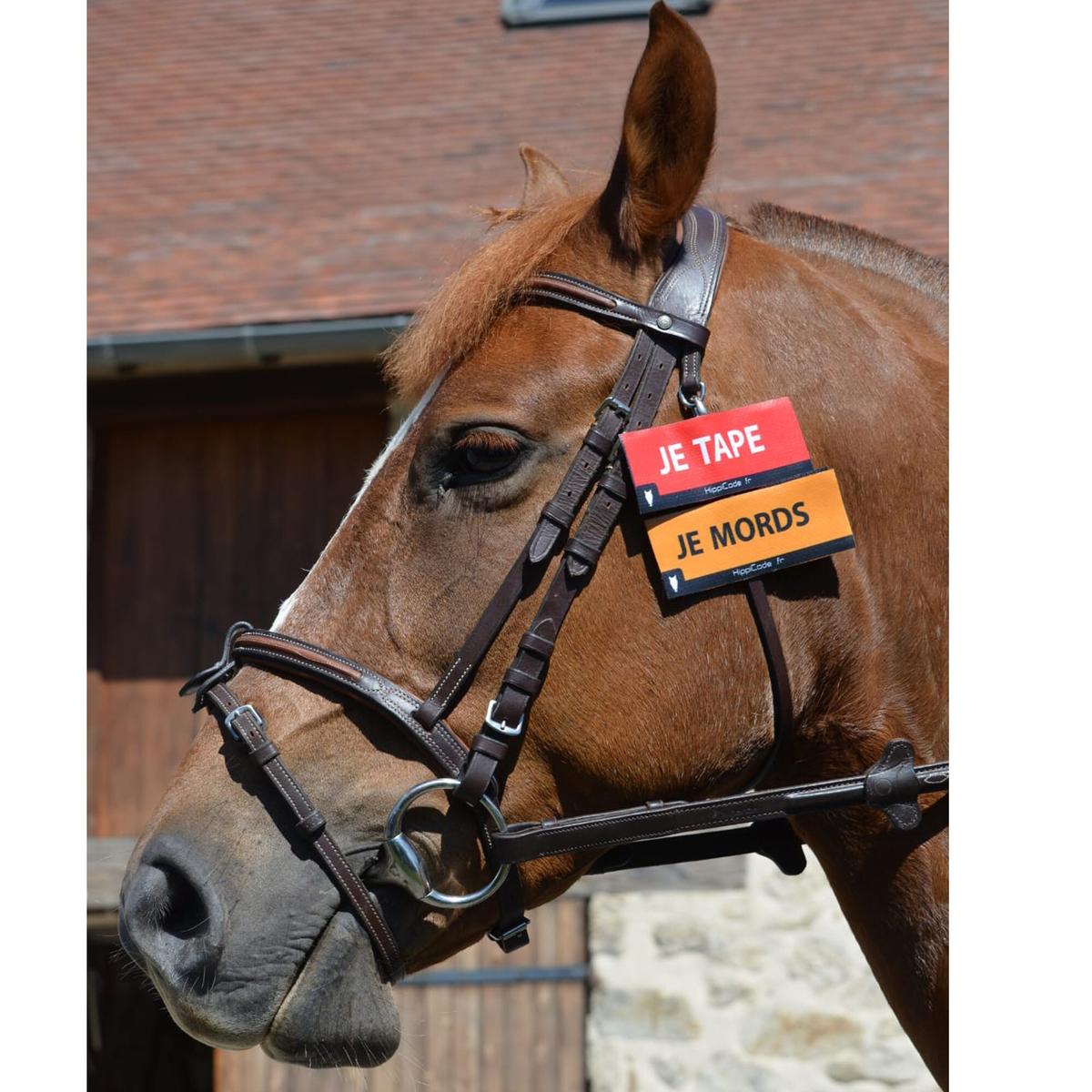 product/h/i/hippicode_700101-je-mords_orange_2.jpg