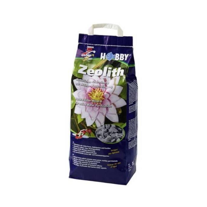 product/h/o/hobby_ho20060_violet_2.jpg