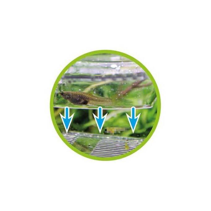 product/h/o/hobby_ho61385_transparent_2.jpg