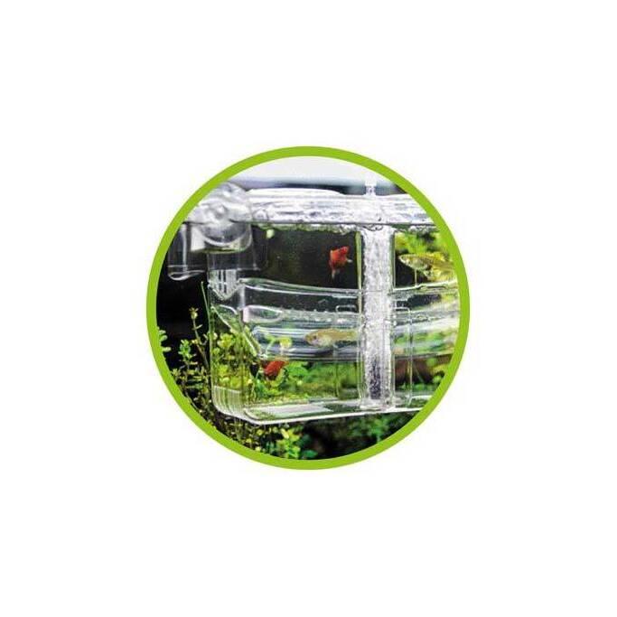 product/h/o/hobby_ho61385_transparent_3.jpg
