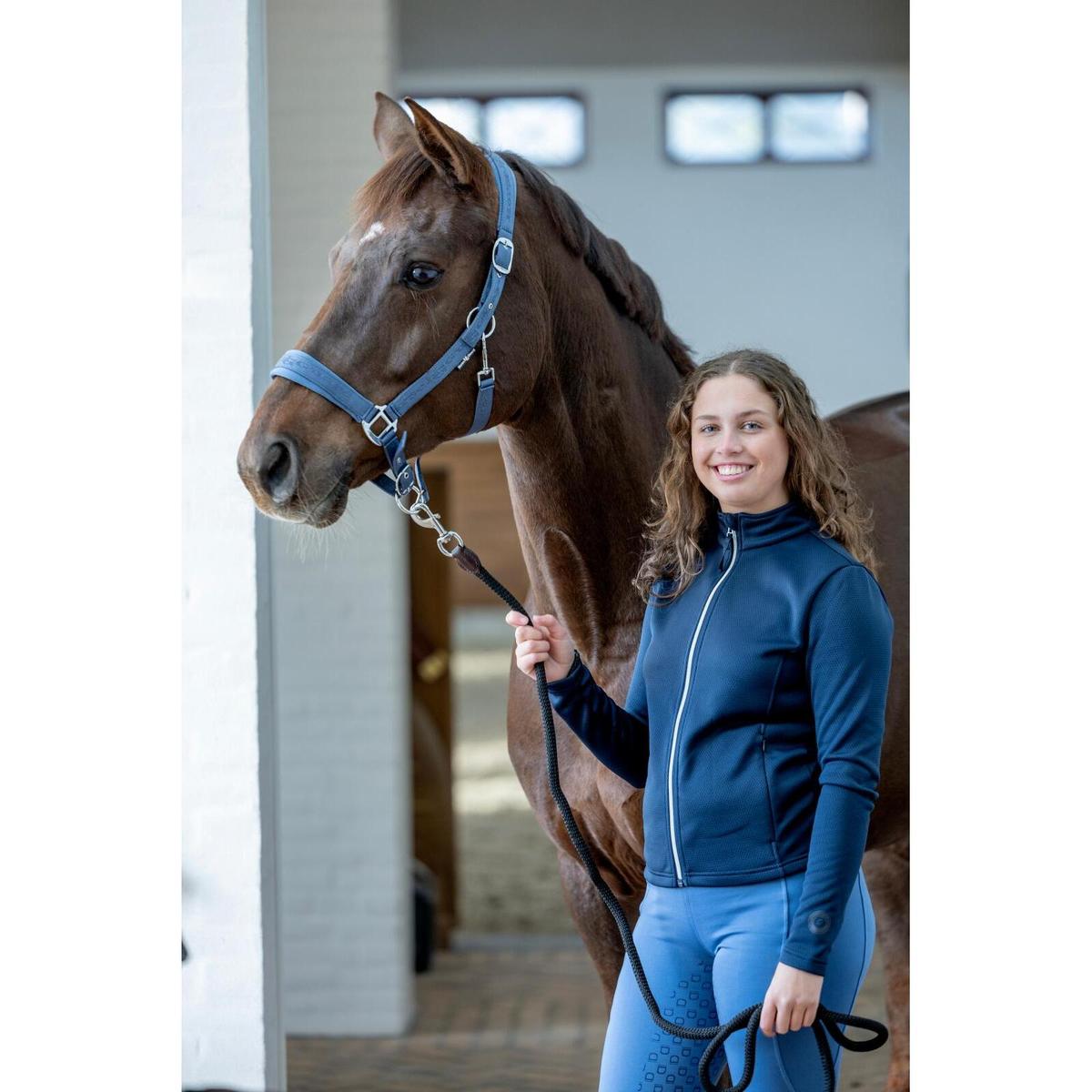 product/h/o/horseguard-50439020121-dutch-blue-3.jpg