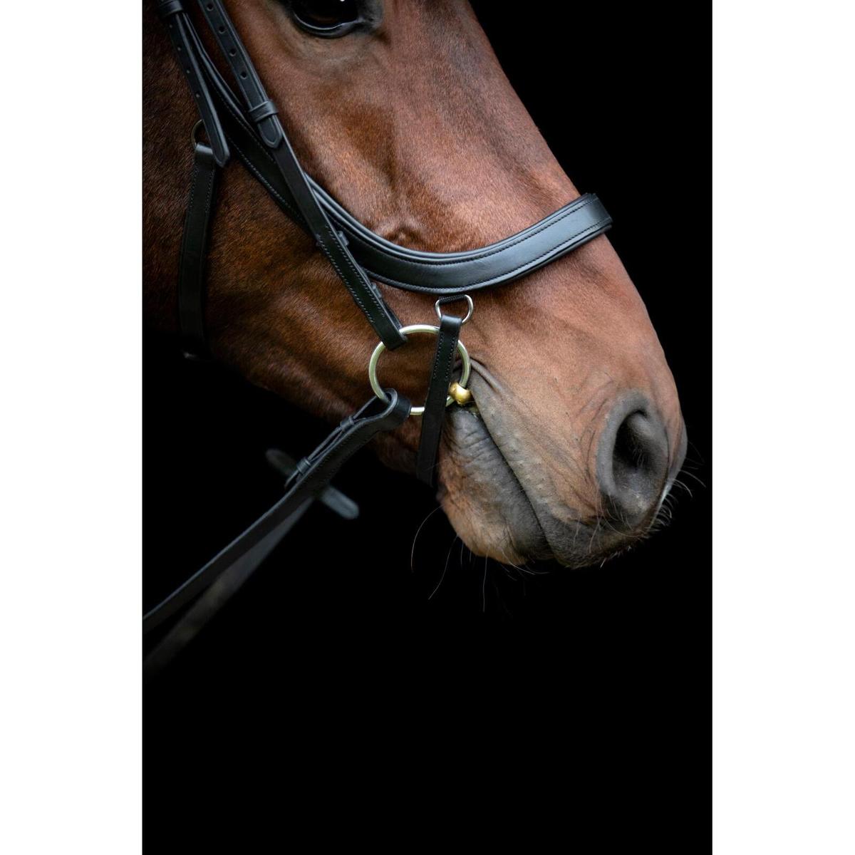 product/h/o/horseguard-506380201-black-4.jpg