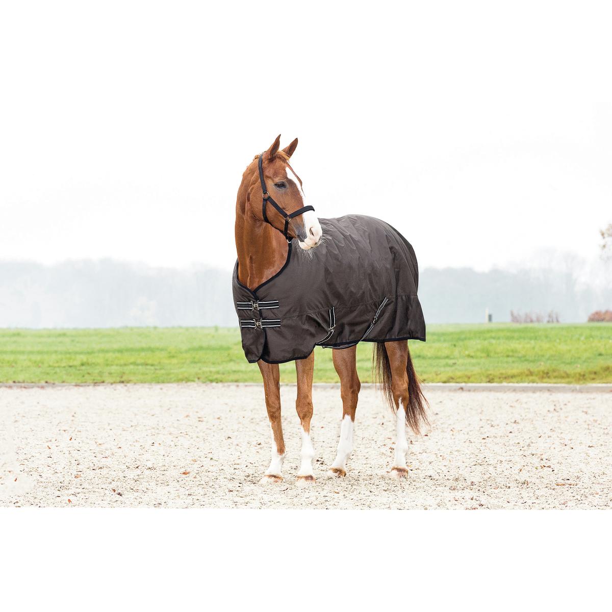 product/h/o/horseguard_27503_2.jpg