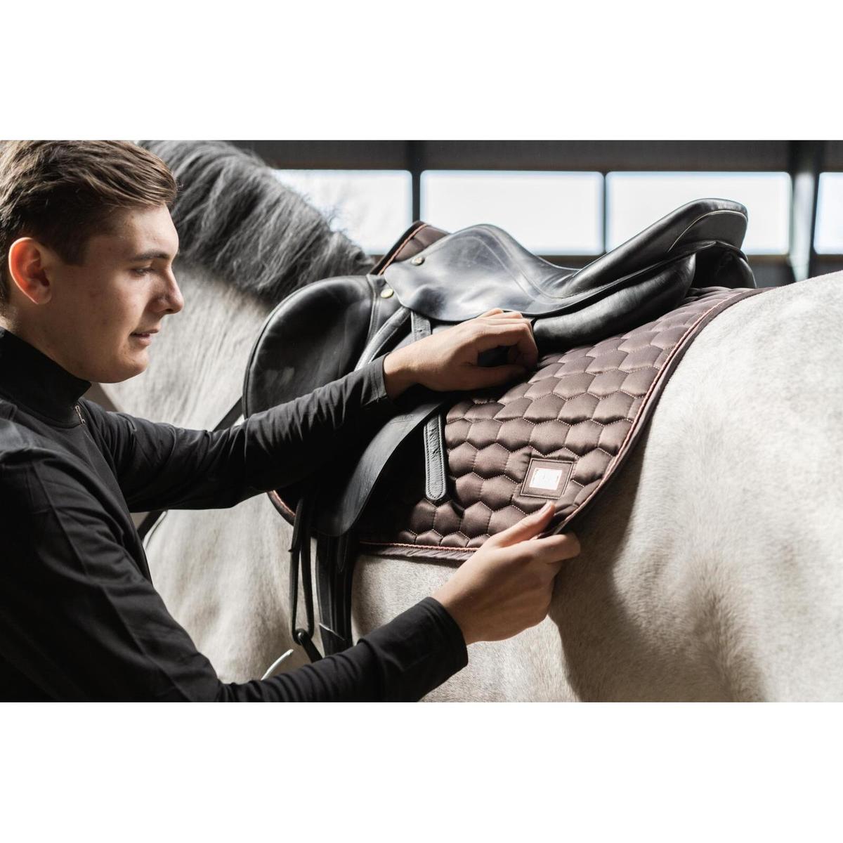 product/h/o/horseguard_503190602_brown_5.jpg