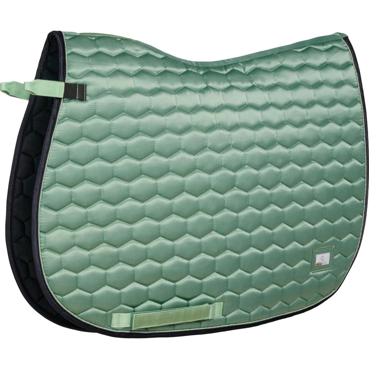 product/h/o/horseguard_503191605_vert_1.jpg