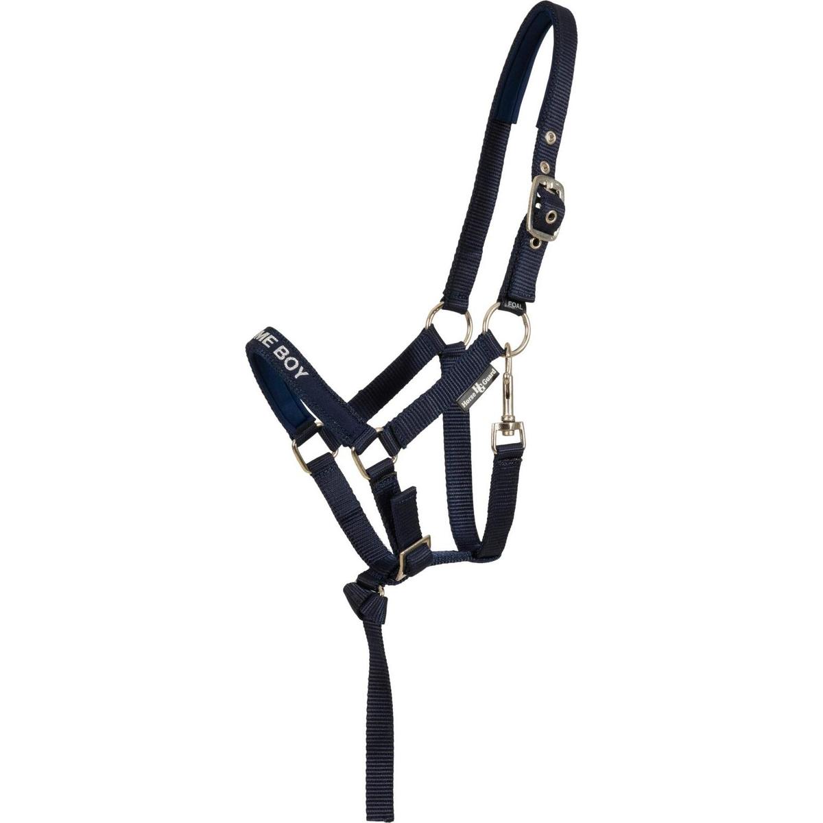 product/h/o/horseguard_504980514_bleu_1.jpg