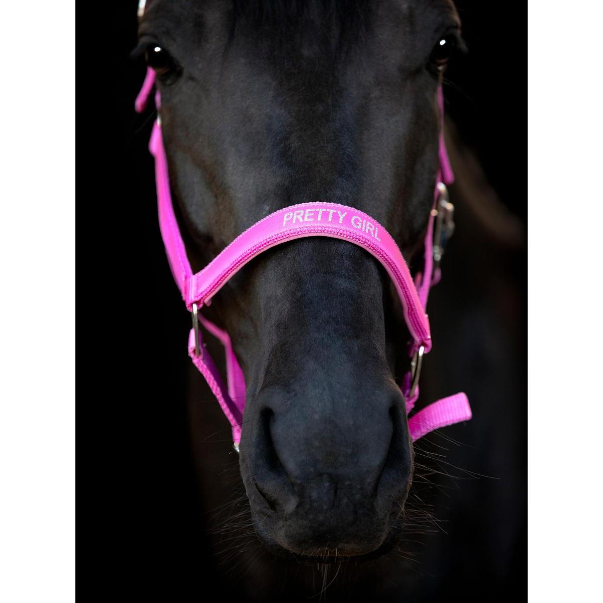 product/h/o/horseguard_50499020102_phlox-pink_3.jpg